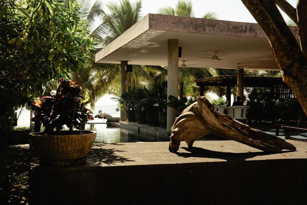 Lo Sereno Casa De Playa Troncones Ngoại thất bức ảnh